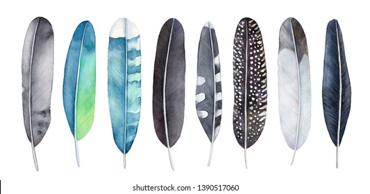 Watercolor feathers set. Mix of various type, pattern and colors (black, grey, blue, turquoise, green, yellow). Handdrawn watercolour gradient drawing, cut out clipart elements for design decoration.