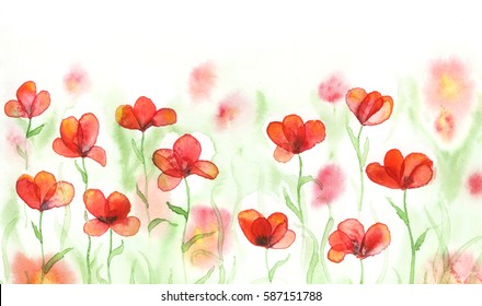 Watercolor field with red poppies. Banner with flowers. Hand painted background.