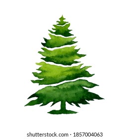 Watercolor Fir Tree In Hand Drawn Illustration. Perfect Design Element For Logo And Christmas Greet Card.