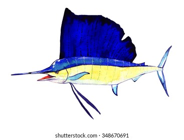 Watercolor Fish, Sail Fish, Hand Painted Draw Isolated On White Background