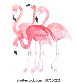 Watercolor flamingos