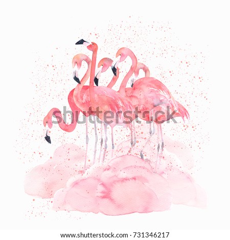Watercolor flamingos with splash. Hand drawn isolated illustration