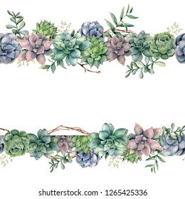 Succulent Clipart Border - canvas-cafe