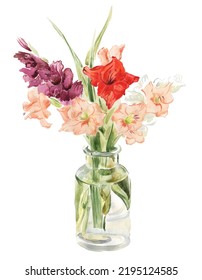 Watercolor Floral Bouquet Of Gladiolus In A Vase. Flowers Sword Lily Red, Lilac And Pink. Hand Painted Illustration Isolated On A White Background. Greeting Card, Postcards Design, Invitations.