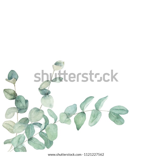 ユーカリの枝を持つ水彩花柄カード 手描きの植物イラスト アートの背景 のイラスト素材