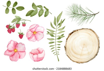 Watercolor Floral Clipart Set With Raspberry, Pink Flowers, Pine Branch, Wood Slice