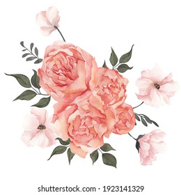 Pink White Vintage Roses Flowers Isolated Stock Illustration 586605773 ...