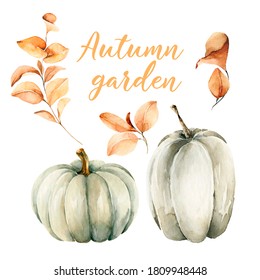 Watercolor floral composition. Hand painted pumpkin, yellow and orange leaves isolated on white background. Autumn festival. Botanical illustration for design, print or background - Powered by Shutterstock