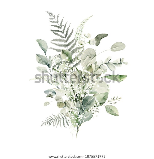 Watercolor floral\
composition. Hand painted forest leaves of fern, eucalyptus,\
gypsophila. Green bouquet isolated on white background. Botanical\
illustration for design,\
print