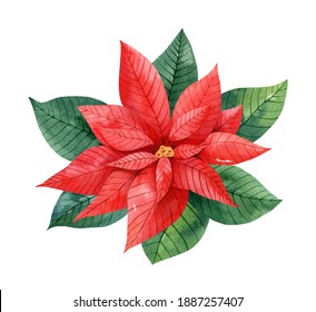 クリスマス ポインセチアの花 白い背景に水彩イラスト 花柄のグリーティングカード 花輪 フレームのデザインエレメント のイラスト素材