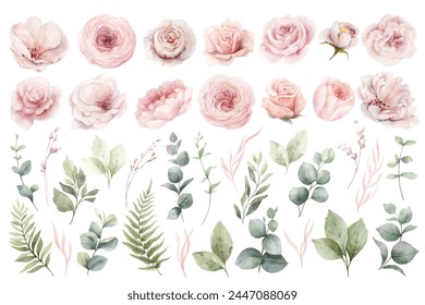 Watercolor floral elements set. Dusty pink roses flowers and green leaves. Foliage arrangement for wedding invitations, greetings, wallpapers, fashion, decoration. Hand painted illustration. - Powered by Shutterstock