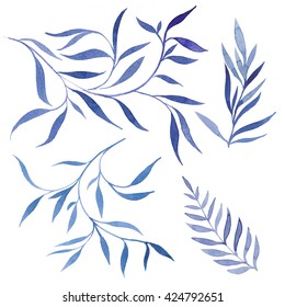 Watercolor floral elements set. Hand drawn blue branches and leaves isolated on white background. 