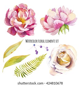 Watercolor floral elements set. Vintage leaves, peony flowers, rose, berry and fern branch. Isolated on white background hand drawn design illustration