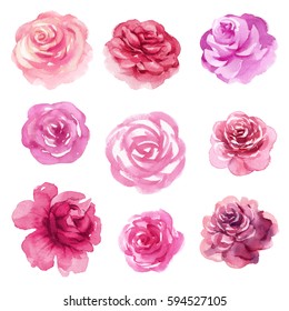 watercolor floral illustration, assorted rose flowers, decorative clip art isolated on white background