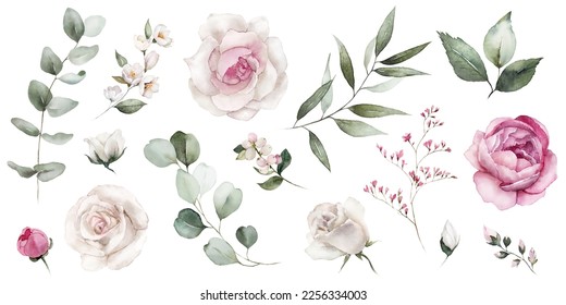 Watercolor floral illustration elements set    green leaves  pink peach blush white flowers  branches  Wedding invitations  greetings  wallpapers  fashion  prints  Eucalyptus  olive  peony  rose 
