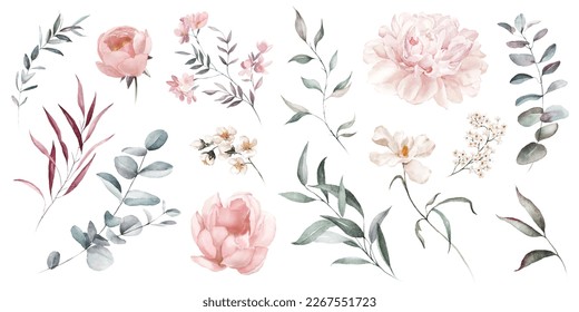 Watercolor floral illustration elements set - green leaves, pink peach blush white flowers, branches. Wedding invitations, greetings, wallpapers, fashion, prints. Eucalyptus, olive, peony, rose.