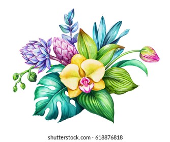 watercolor floral illustration, exotic nature, tropical flowers bouquet, orchid, green leaves, isolated on white background