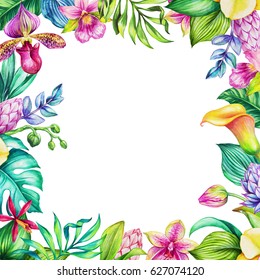watercolor floral illustration, exotic nature, tropical flowers bouquet, orchid, green palm leaves, calla lily, rectangular frame isolated on white background