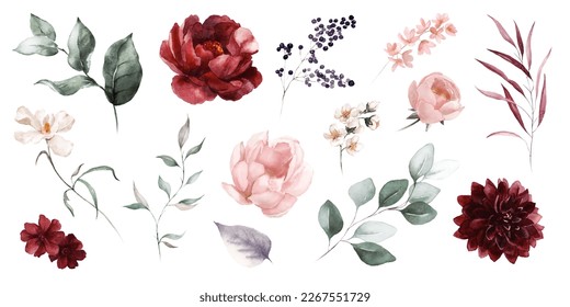 Ilustración floral acuarela elementos