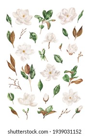 Watercolor Floral Illustration Set - White Magnolia. Hand Drawn Watercolor Combination Of Flowers Magnolia And Green Leaves. Perfect For Creating Cards, Invitations, Wedding Design.