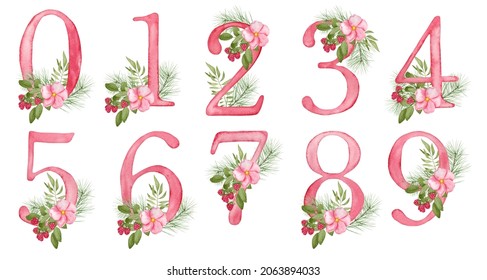 Watercolor Floral Numbers Clipart With Pink Flower, Raspberry, Pine Branches For Baby Girl Birthday Stationery