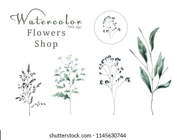 Watercolor floral on white background 700 dpi Similar illustration leaf green color - Shutterstock ID 1145630744