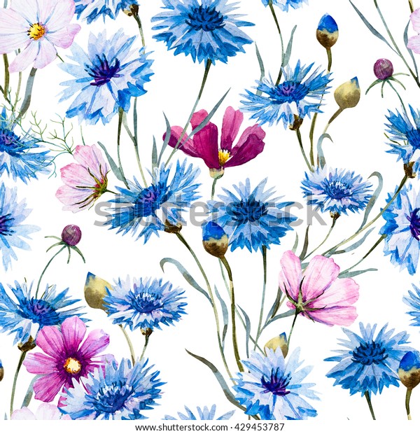 水彩花柄 青い花のコーンフラワー 繊細な壁紙 ピンクフラワーのコスモス 春 夏 のイラスト素材