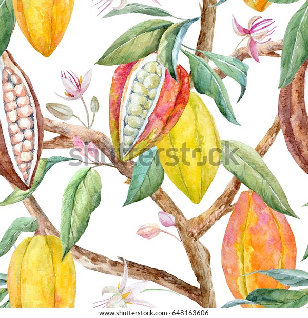 Watercolor Floral Pattern Cocoa On Tree Stock Illustration ...