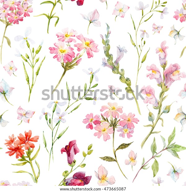 水彩花柄 繊細な花の壁紙 野草のピンク レトロ のイラスト素材