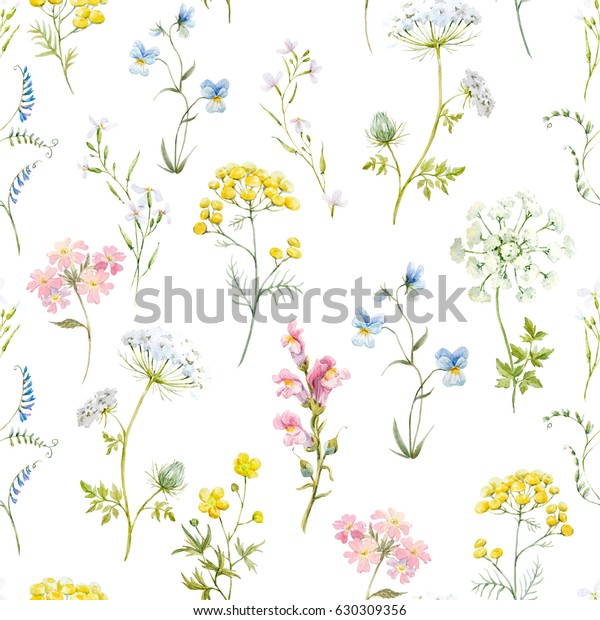 水彩花柄 華やかな花の壁紙 野草のピンク タンジー ヒナギク 白い花のクイーンアンのレース レトロな のイラスト素材