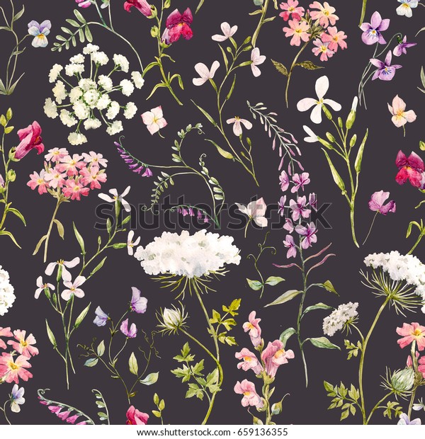 水彩花柄 華やかな花の壁紙 野草のピンク タンジー ヒナギク 白い花のクイーンアンのレース レトロな暗い背景 のイラスト素材