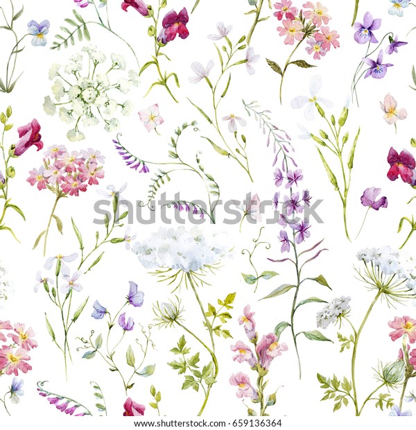 水彩花柄 華やかな花の壁紙 野草のピンク タンジー ヒナギク 白い花のクイーンアンのレース レトロな のイラスト素材