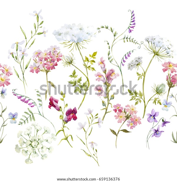水彩花柄 華やかな花の壁紙 野草のピンク タンジー ヒナギク 白い花のクイーンアンのレース レトロな水平パターン のイラスト素材