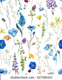 Watercolor Floral Pattern On A White Background, Wild Flowers, Cornflower, Dandelion, Chamomile, Clover, White Background