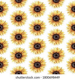 8,561 Watercolor Sunflower Seamless Images, Stock Photos & Vectors ...