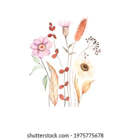 Watercolor Floral Print With Wildflowers, Branches And Leaves In Herbarium Style. Dry Flowers And Plants Isolated On White Background, Ikebana Hand Painting Image.