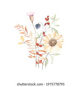 Watercolor Floral Print With Wildflowers, Branches And Leaves In Herbarium Style. Dry Flowers And Plants Isolated On White Background, Ikebana Hand Painting Image, Bouquet In Pastel Colors.