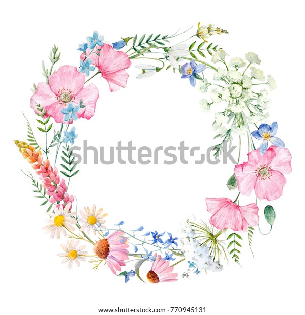 水彩の花柄の丸い花輪と野生の花 ピンクのポピー ルパン 紫色 リリー 忘れ口 カモミール エキナセア フラワーグリーティングカード のイラスト素材