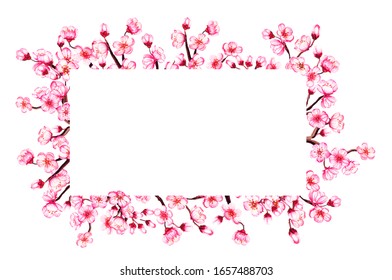 Watercolor Floral Sakura Frame. Spring Cherry Blossom Border, Isolated On White.