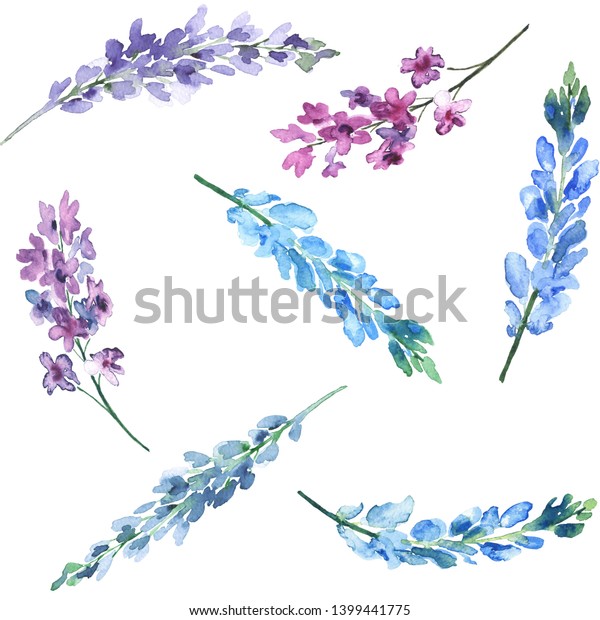 水彩花柄のシームレスな模様 ライラック ラベンダー ルピンの手描きの枝をビンテージ風に描いた 白い背景にカラフルなプロバンスの花 水彩ライラックの花とシームレスな花柄 のイラスト素材