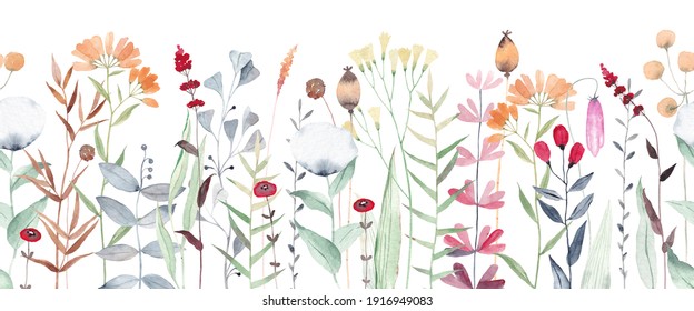 Watercolor floral seamless pattern with wildflowers, plants, leaves and herbs. Panoramic horizontal isolated illustration. Seamless pattern.