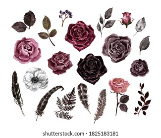 Watercolor floral set. Black, deep red, burgundy, purple roses, feathers and leaves, isolated on white background. Vintage botanical illustration. Dark moody color palette. Victorian style.