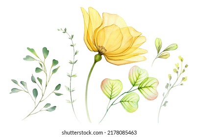 Watercolor floral set. Collection of yellow transparent rose, leaves and branches. Hand painted isolated design elements. Botanical illustration for summer wedding design, greeting cards - Powered by Shutterstock