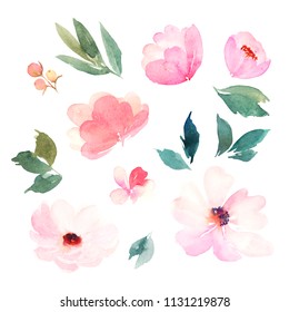 Watercolor Floral Set. Hand Drawn Watercolour Illustration