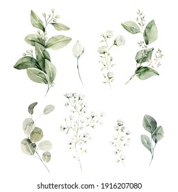 Watercolor Floral Set. Hand Painted Illustration Of Forest Herbs, Greenery, Baby Breath. Green Leaves, Gypsophila Isolated On White Background. Botanical Illustration For Design, Print