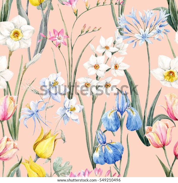 水彩花柄の春模様 植物イラスト チューリップの花 水仙ピンクのフリーシア 青いアイリス ブルーアキレジアレトロ壁紙 のイラスト素材
