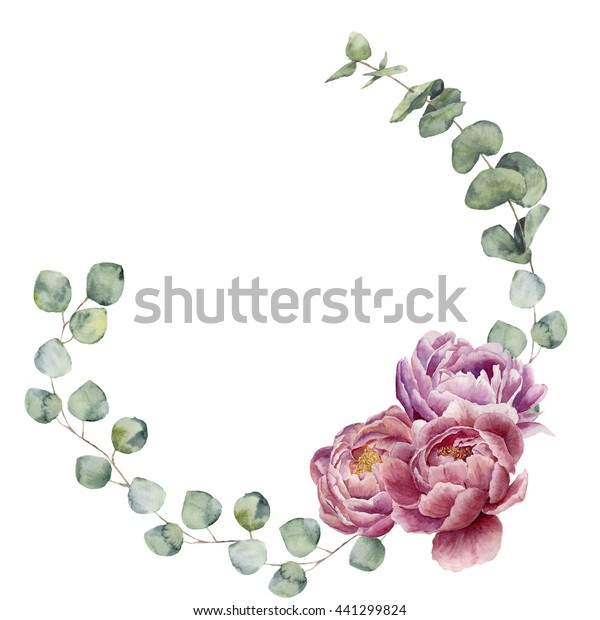ユーカリの葉と牡丹の花で水彩花輪が咲く 白い背景に手描きの花柄の境界と枝 ユーカリの葉 花 デザインまたは背景用 のイラスト素材