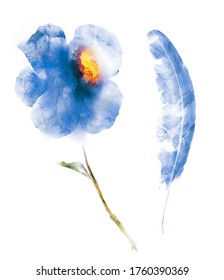 Watercolor flower and feather, isolated on white background