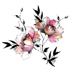 Watercolor Flower Illustration And Pattern