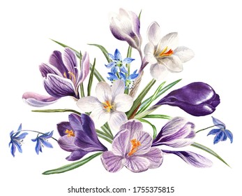 Crocus Watercolor Images, Stock Photos & Vectors | Shutterstock